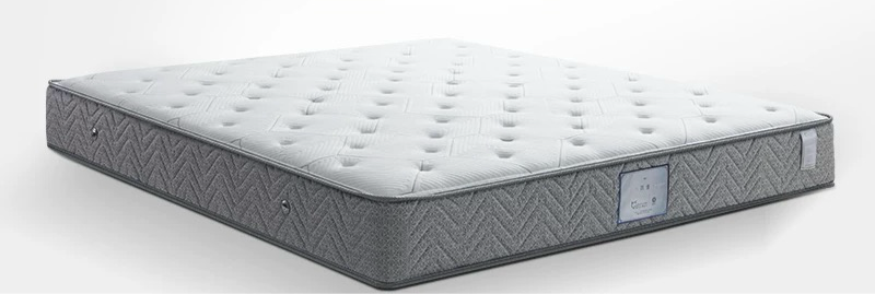 Basic Style Members Special Mattress