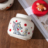 Tom & Jerry Ceramic Spice Jar Set – Cartoon Kitchen Canisters