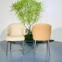 Luna Curve Dining Chair#MY995