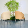 Luna Curve Dining Chair#MY995