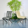 Urban Grid Dining Chair#MY975