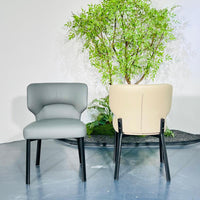 Luna Curve Dining Chair#MY972