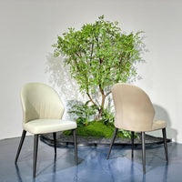 Luna Curve Dining Chair#MY961