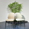 Luna Curve Dining Chair#MY961