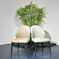 Luna Curve Dining Chair#MY961