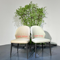 Luna Curve Dining Chair#MY961