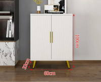 Shoe Cabinet and Shoe Stool Set