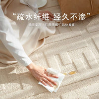 Diatom silk carpet