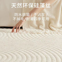 Diatom silk carpet