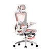 ErgoBloom Office Chair